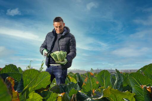 Non solo melone giallo: nell'autunno/inverno 2023 dell'azeinda agricola Unifruit Condoluci ci sarà spazio per nuove colture